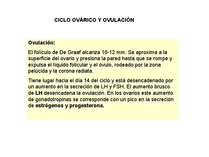 CICLO OVÁRICO Y OVULACIÓN Ovulación: El folículo de De Graaf alcanza 10 -12 mm.