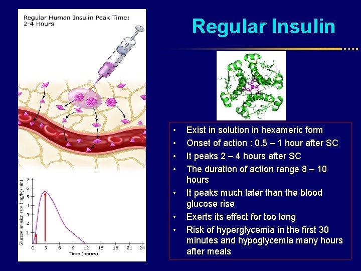 Regular Insulin • • Exist in solution in hexameric form Onset of action :