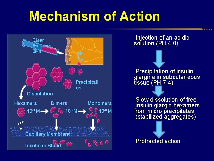 Mechanism of Action Injection of an acidic solution (PH 4. 0) Clear Solution p.