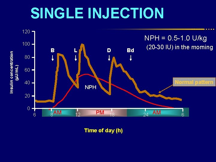 SINGLE INJECTION 120 Insulin concentration ( U/m. L) 100 B L D Bd NPH