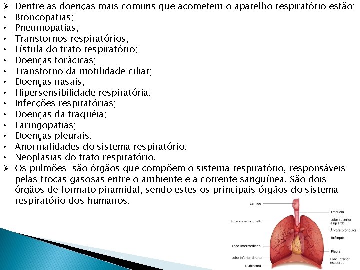 Ø • • • • Ø Dentre as doenças mais comuns que acometem o