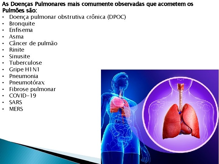 As Doenças Pulmonares mais comumente observadas que acometem os Pulmões são: • Doença pulmonar