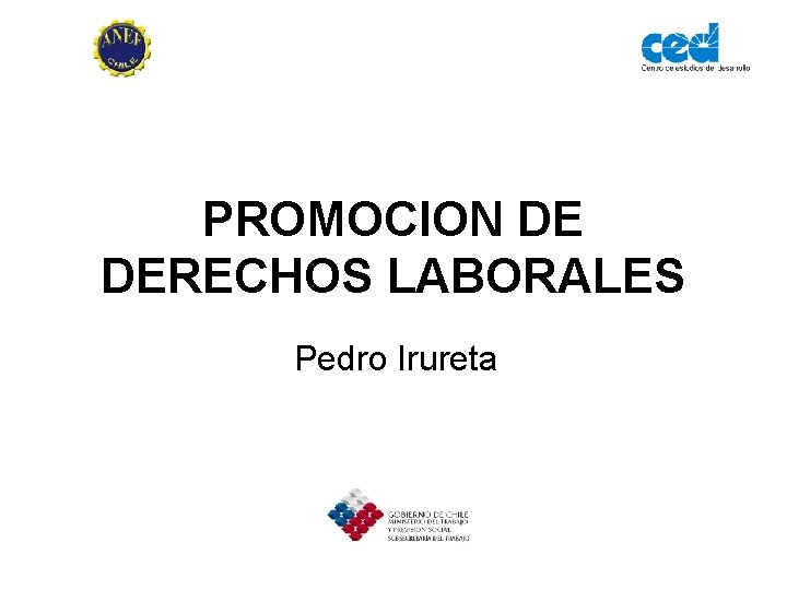 PROMOCION DE DERECHOS LABORALES Pedro Irureta 