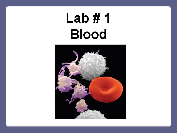 Lab # 1 Blood 