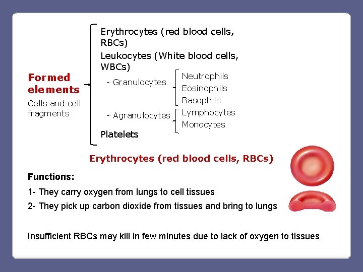 Formed elements Cells and cell fragments Erythrocytes (red blood cells, RBCs) Leukocytes (White blood