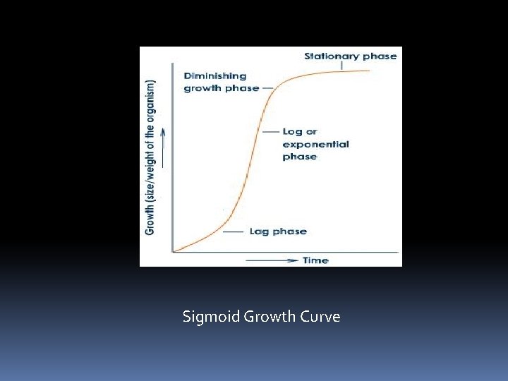 Sigmoid Growth Curve Sigmoid Growth Curve