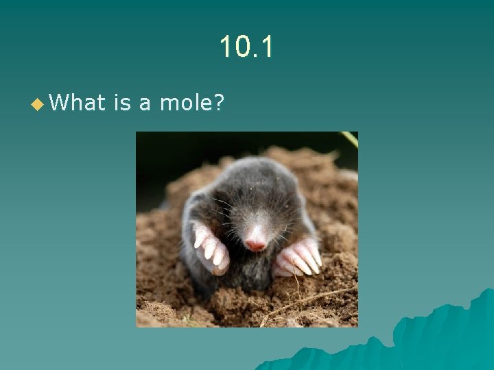 10. 1 u What is a mole? 