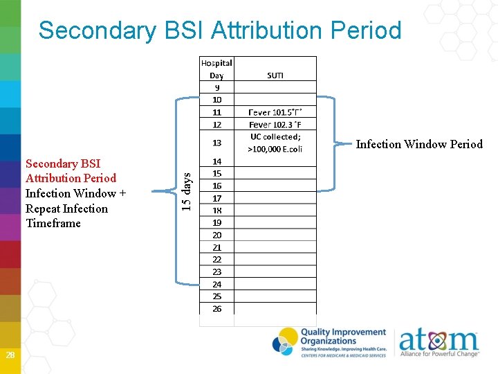 Secondary BSI Attribution Period Infection Window + Repeat Infection Timeframe 28 15 days Infection