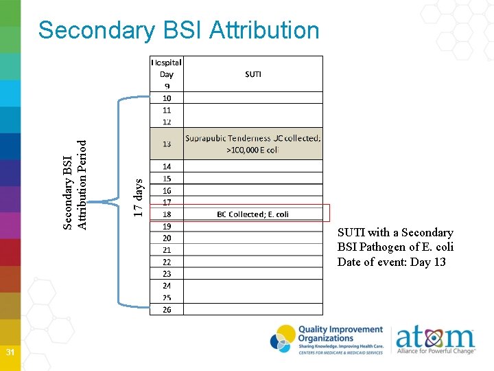31 17 days Secondary BSI Attribution Period Secondary BSI Attribution SUTI with a Secondary