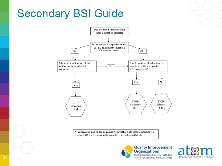 Secondary BSI Guide 36 