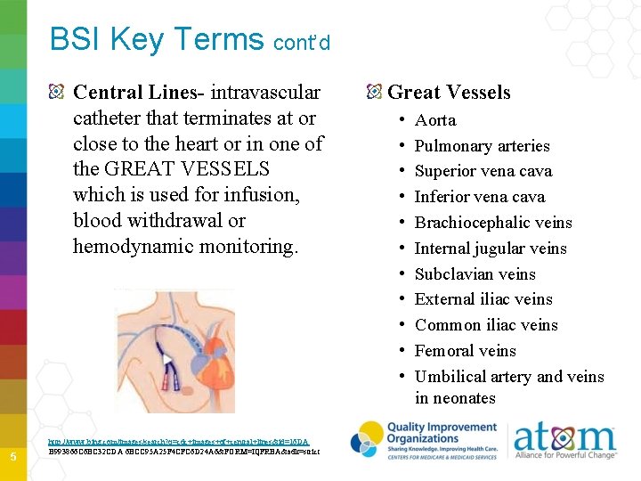 BSI Key Terms cont’d Central Lines- intravascular catheter that terminates at or close to