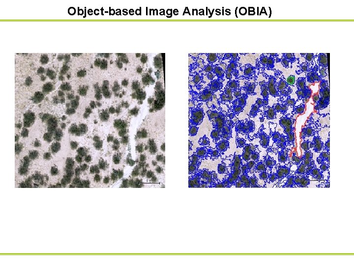 Object-based Image Analysis (OBIA) 