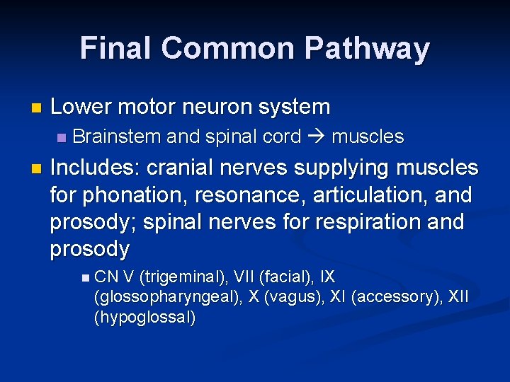 Final Common Pathway n Lower motor neuron system n n Brainstem and spinal cord Final Common Pathway n Lower motor neuron system n n Brainstem and spinal cord
