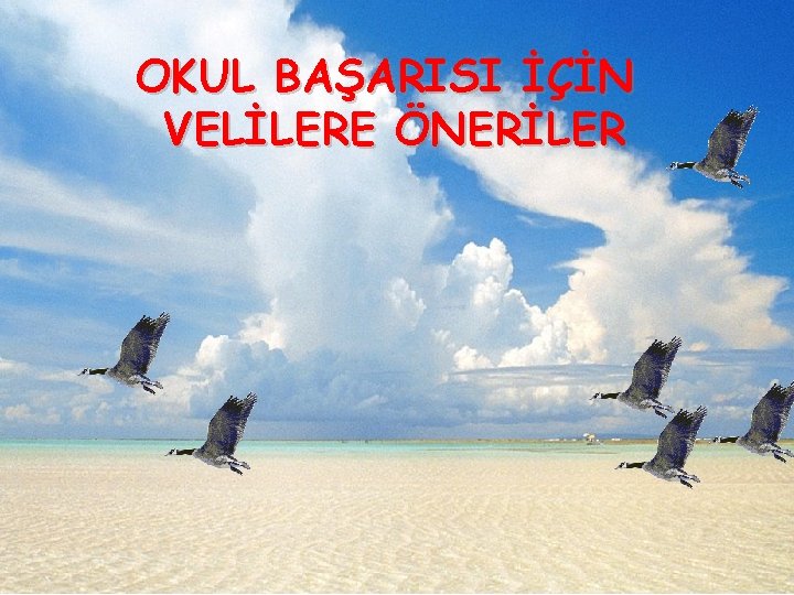 OKUL BAŞARISI İÇİN VELİLERE ÖNERİLER 