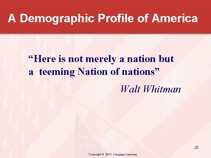 A Demographic Profile of America “Here is not merely a nation but a teeming