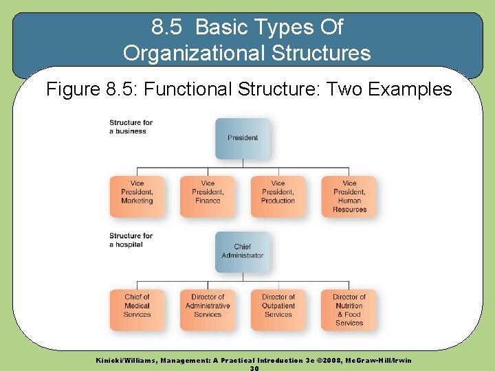 8. 5 Basic Types Of Organizational Structures Figure 8. 5: Functional Structure: Two Examples