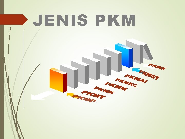 JENIS PKM 