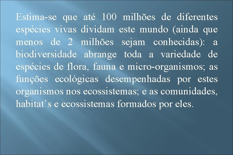 Biodiversidade visual data 8
