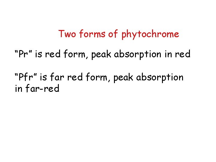 Two forms of phytochrome “Pr” is red form, peak absorption in red “Pfr” is