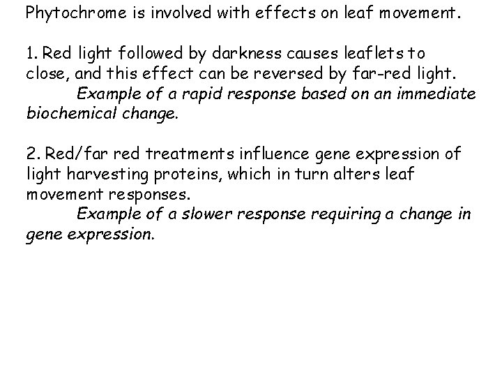 Phytochrome is involved with effects on leaf movement. 1. Red light followed by darkness