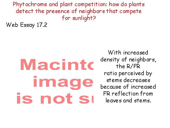 Phytochrome and plant competition: how do plants detect the presence of neighbors that compete