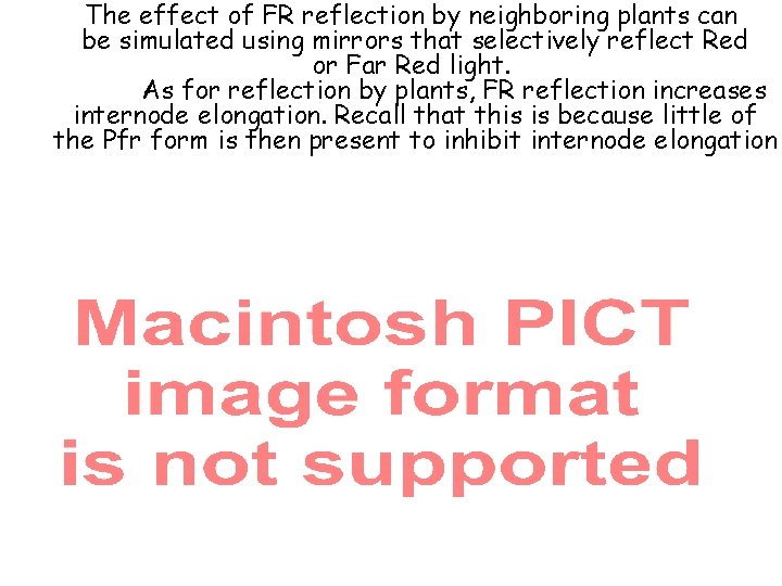 The effect of FR reflection by neighboring plants can be simulated using mirrors that