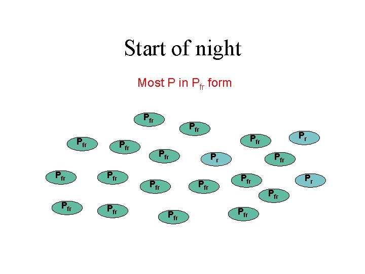 Start of night Most P in Pfr form. Prfr Pfr Pr Pfr Prfr Pfr