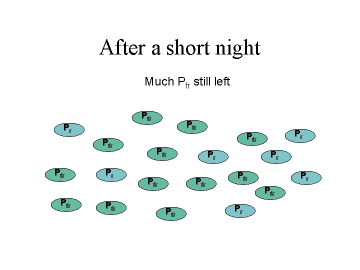 After a short night Much Pfr still left. Prfr Pfr Pfr Prfr Prfr Prfr
