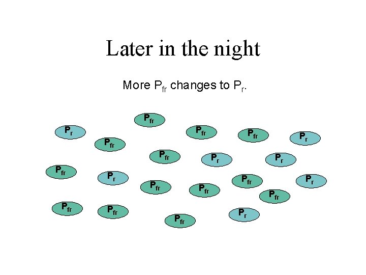 Later in the night More Pfr changes to Pr. Prfr Pfr Pfr Prfr Prfr