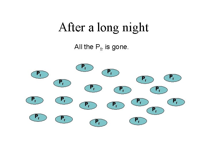 After a long night All the Pfr is gone. Prfr Prfr Prfr Prfr Prfr