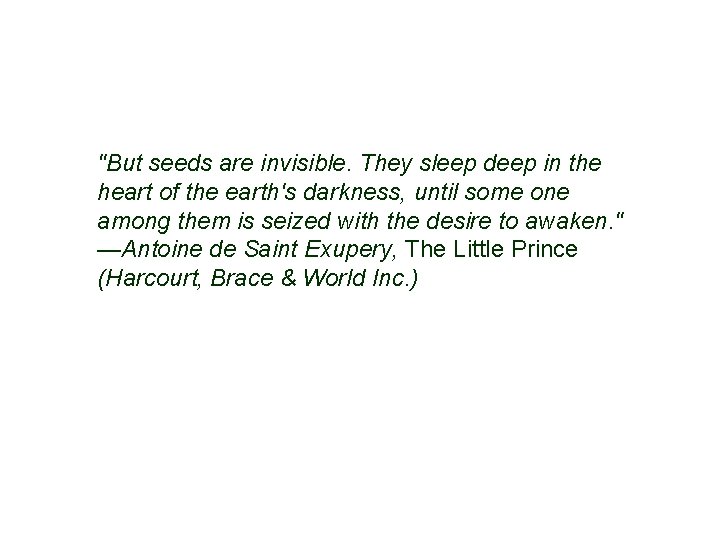 "But seeds are invisible. They sleep deep in the heart of the earth's darkness,