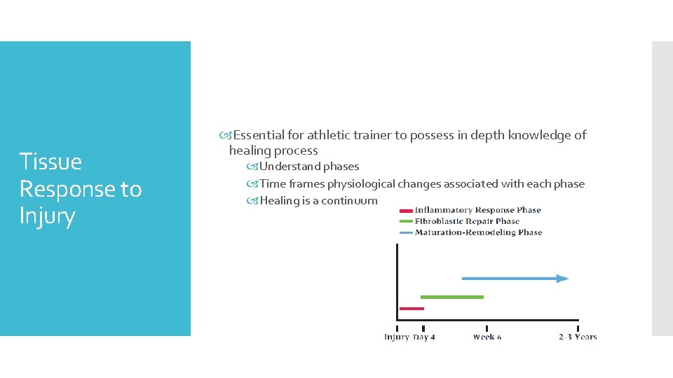 Tissue Response to Injury Essential for athletic trainer to possess in depth knowledge of
