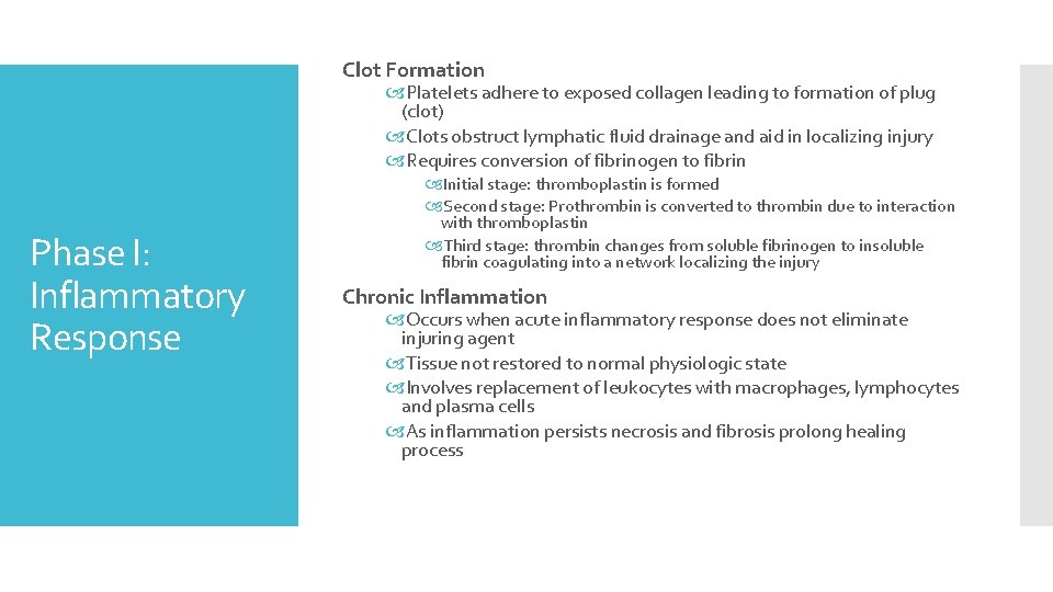 Clot Formation Platelets adhere to exposed collagen leading to formation of plug (clot) Clots