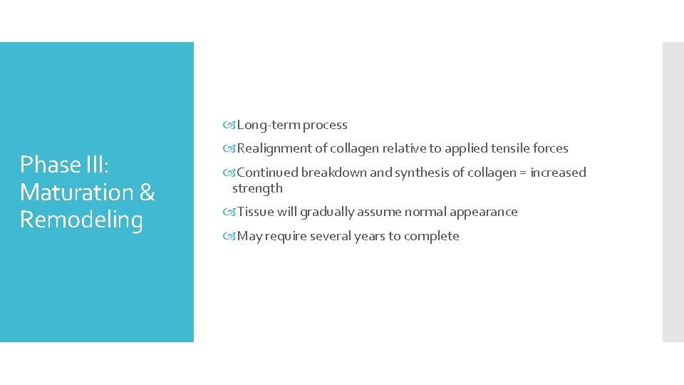  Long-term process Phase III: Maturation & Remodeling Realignment of collagen relative to applied