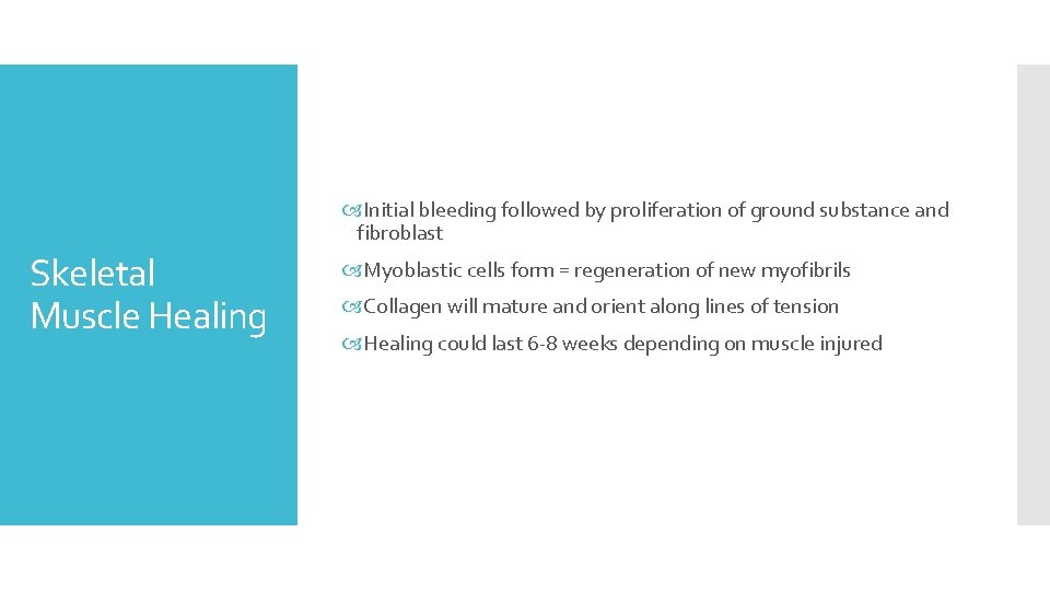  Initial bleeding followed by proliferation of ground substance and fibroblast Skeletal Muscle Healing