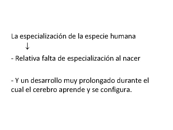 La especialización de la especie humana - Relativa falta de especialización al nacer -