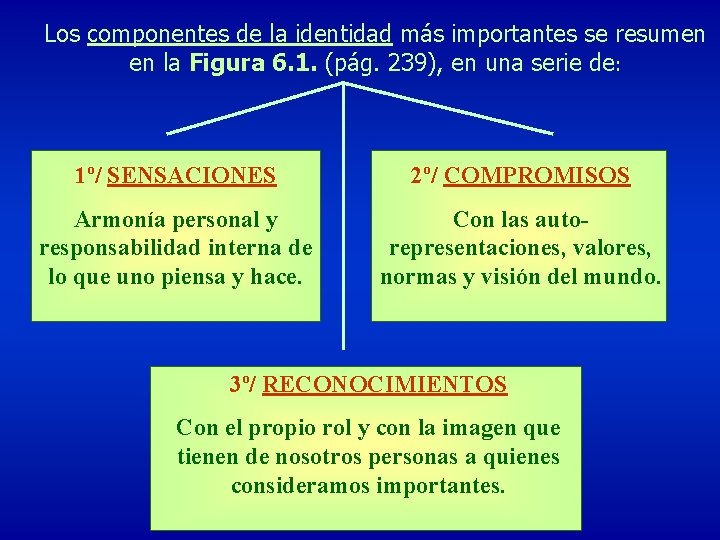 Los componentes de la identidad más importantes se resumen en la Figura 6. 1.