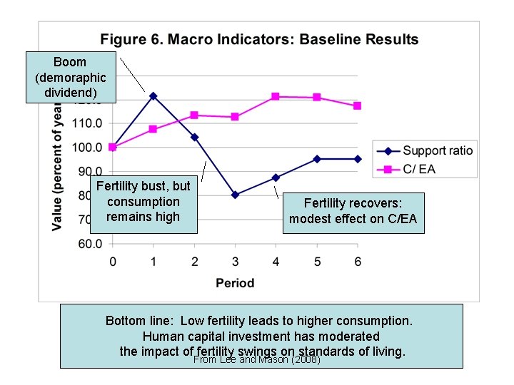 Boom (demoraphic dividend) Fertility bust, but consumption remains high Fertility recovers: modest effect on