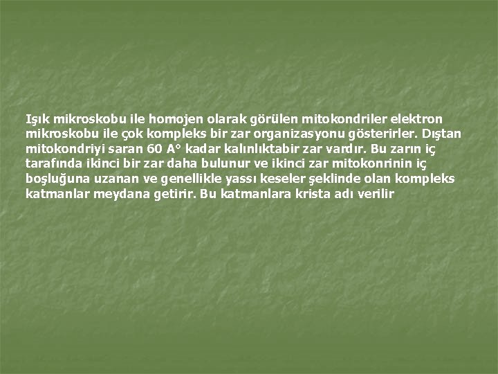 Işık mikroskobu ile homojen olarak görülen mitokondriler elektron mikroskobu ile çok kompleks bir zar