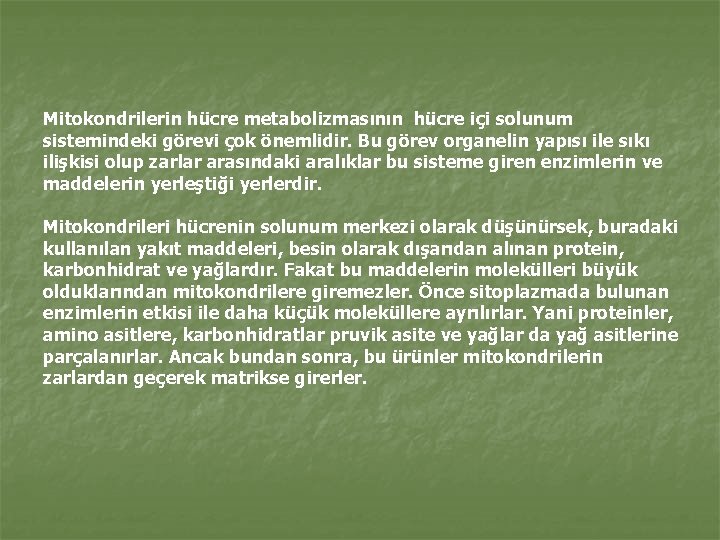 Mitokondrilerin hücre metabolizmasının hücre içi solunum sistemindeki görevi çok önemlidir. Bu görev organelin yapısı