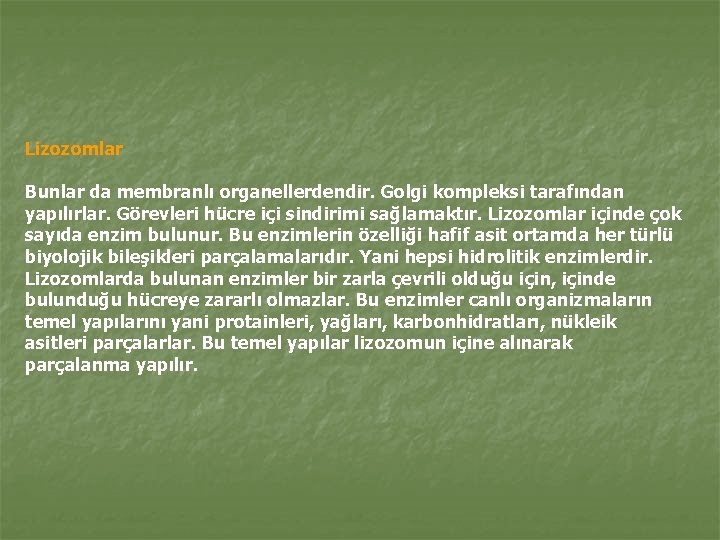 Lizozomlar Bunlar da membranlı organellerdendir. Golgi kompleksi tarafından yapılırlar. Görevleri hücre içi sindirimi sağlamaktır.