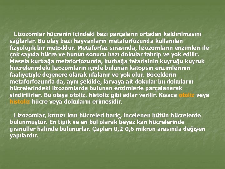 Lizozomlar hücrenin içindeki bazı parçaların ortadan kaldırılmasını sağlarlar. Bu olay bazı hayvanların metaforfozunda kullanılan