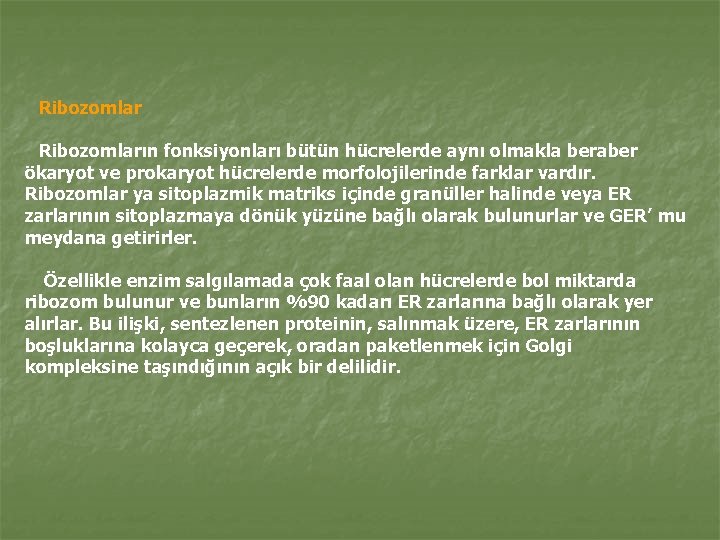 Ribozomların fonksiyonları bütün hücrelerde aynı olmakla beraber ökaryot ve prokaryot hücrelerde morfolojilerinde farklar vardır.