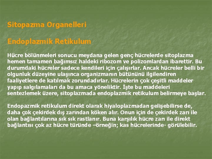 Sitopazma Organelleri Endoplazmik Retikulum Hücre bölünmeleri sonucu meydana gelen genç hücrelerde sitoplazma hemen tamamen