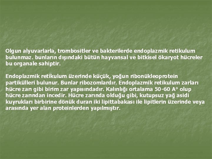 Olgun alyuvarlarla, trombositler ve bakterilerde endoplazmik retikulum bulunmaz. bunların dışındaki bütün hayvansal ve bitkisel