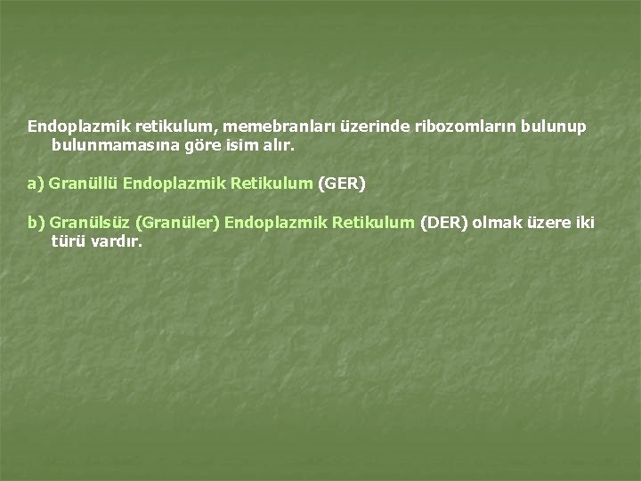 Endoplazmik retikulum, memebranları üzerinde ribozomların bulunup bulunmamasına göre isim alır. a) Granüllü Endoplazmik Retikulum