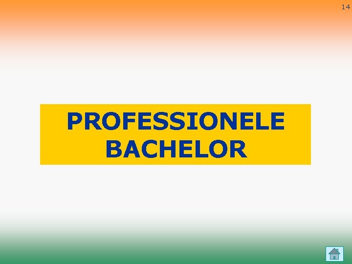 14 PROFESSIONELE BACHELOR 