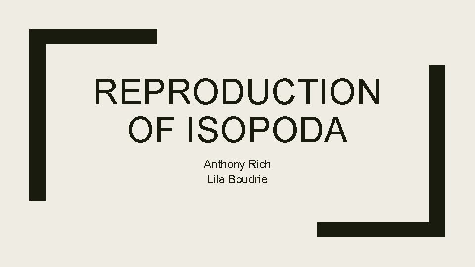 REPRODUCTION OF ISOPODA Anthony Rich Lila Boudrie 