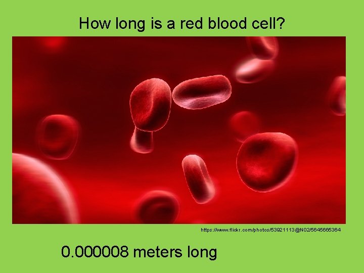 How long is a red blood cell? https: //www. flickr. com/photos/53921113@N 02/5645665364 0. 000008