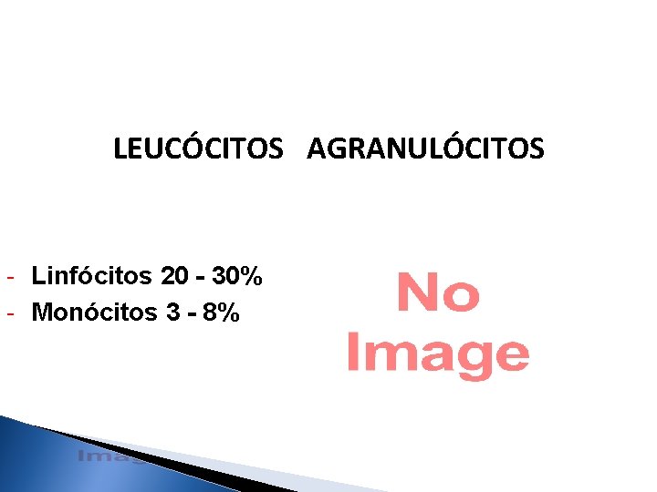 LEUCÓCITOS AGRANULÓCITOS - Linfócitos 20 - 30% - Monócitos 3 - 8% 